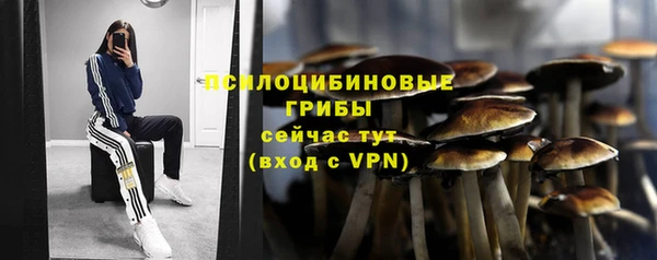гашиш Абаза