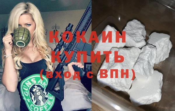 гашик Сатка